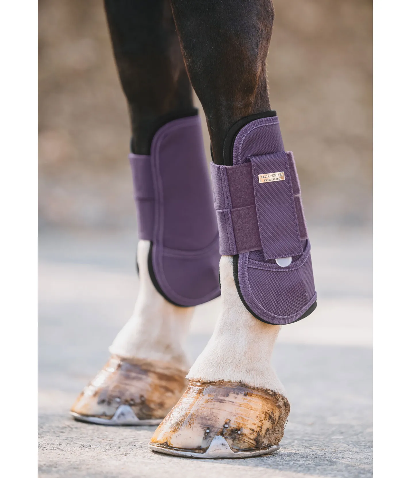 Felix Bühler Guêtres Sophistication violet foncé Online