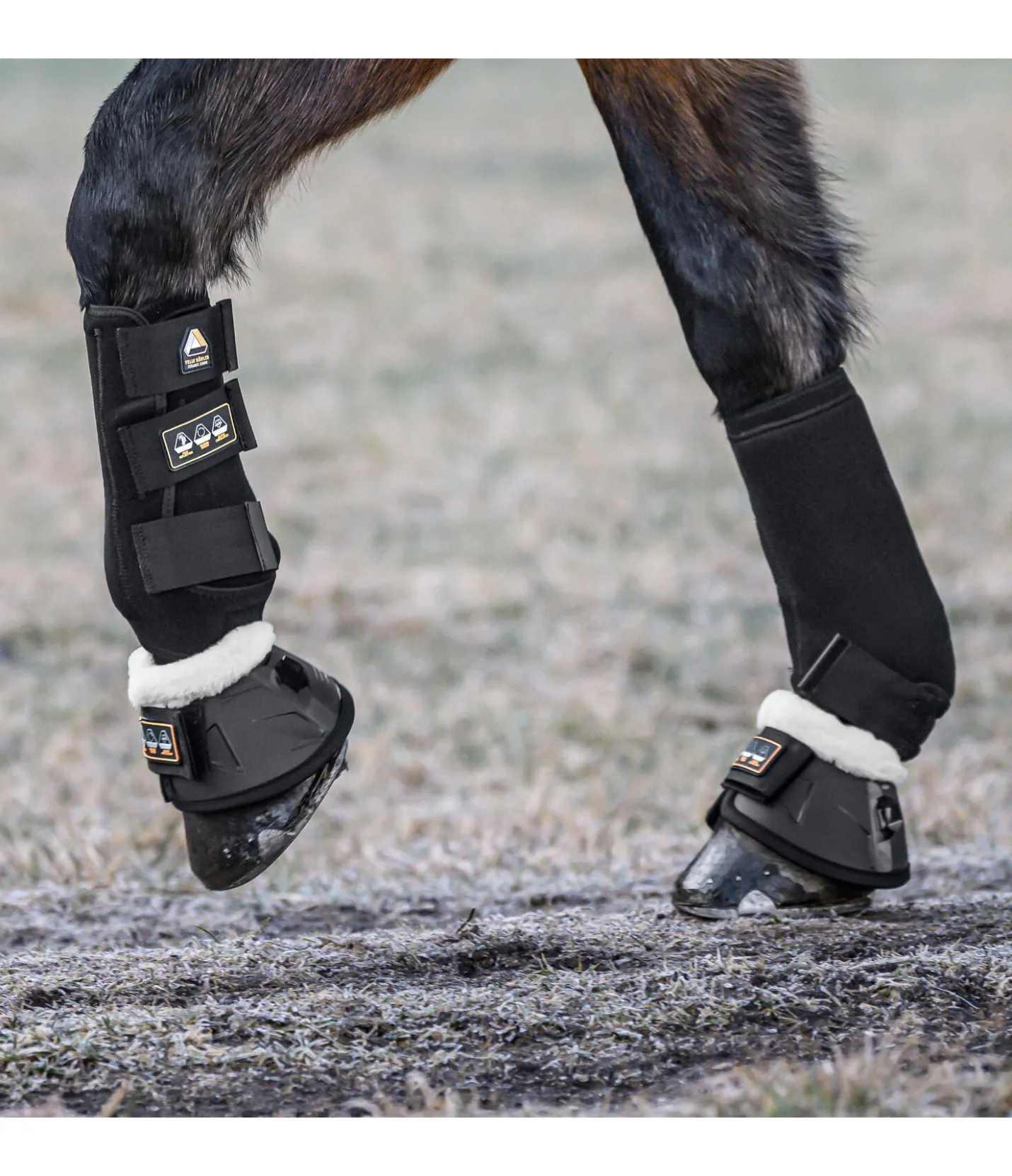 Felix Bühler Guêtres de dressage Ceramic Rehab noir Online