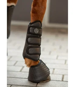 Felix Bühler Guêtres de dressage Dressur-Derby noir Sale