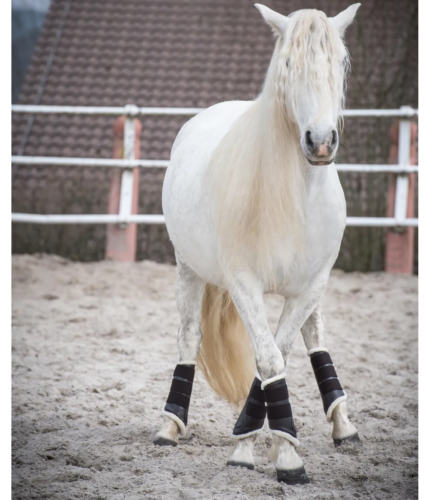 SHOWMASTER Guêtres de dressage antérieures en polaire Teddy brun Hot