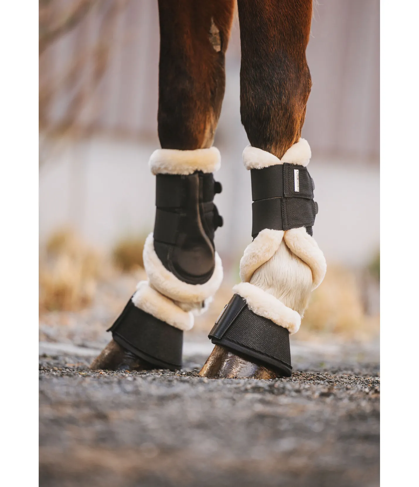 Felix Bühler Guêtres de dressage avec polaire Teddy Sparkle (pour antérieurs) noir New
