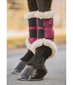 Felix Bühler Guêtres de dressage en polaire Teddy Essential (antérieurs) wild berry Online