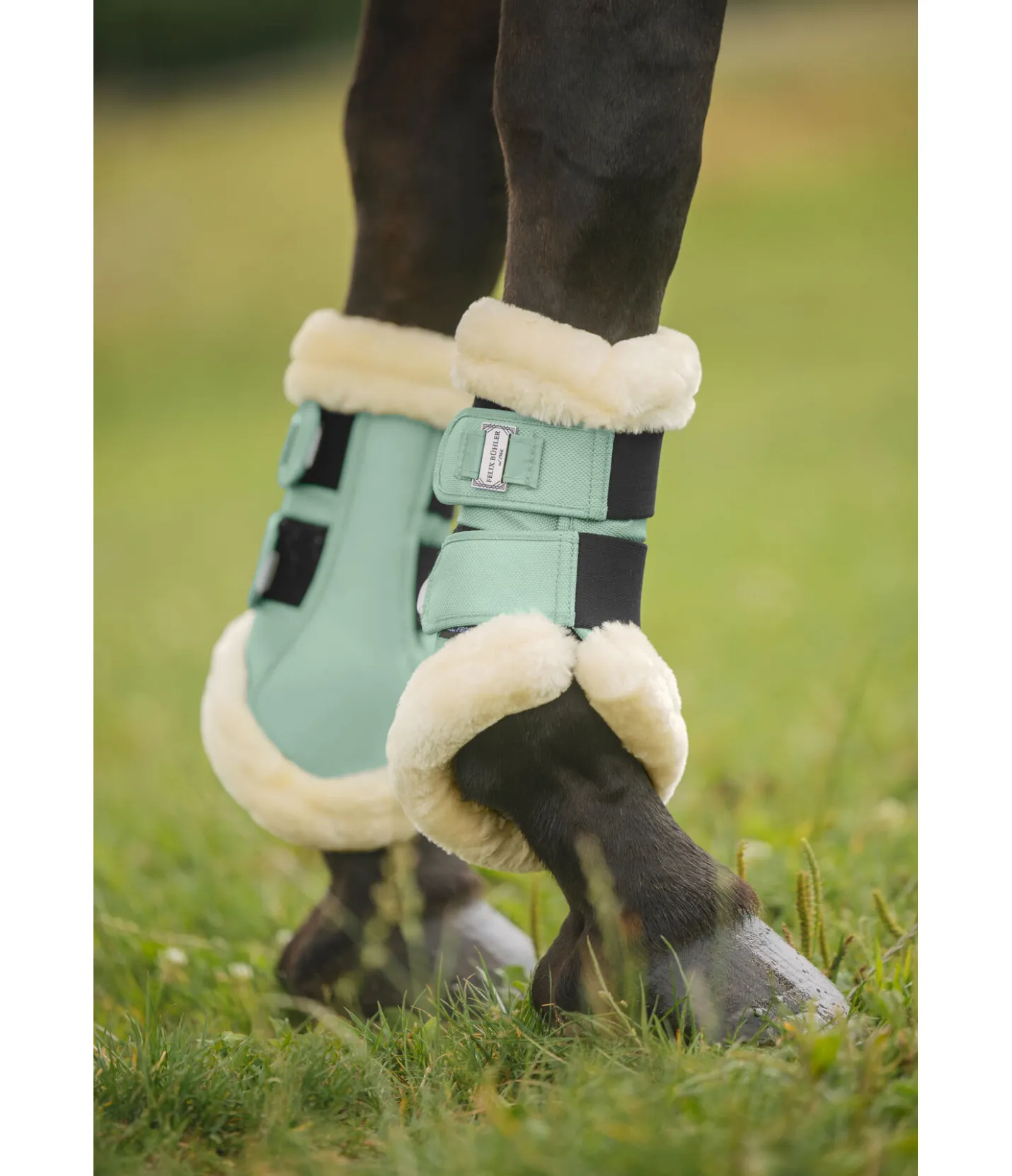 Felix Bühler Guêtres de dressage en polaire Teddy Essential (antérieurs) aloe vera