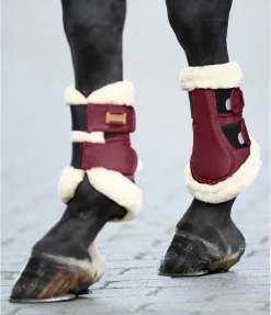 Felix Bühler Guêtres de dressage en polaire Teddy Essential (antérieurs) bordeaux Sale