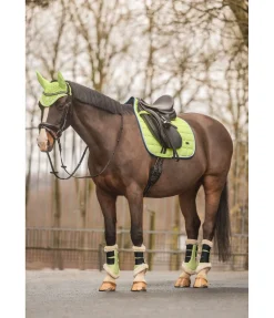Felix Bühler Guêtres de dressage en polaire Teddy Essential (antérieurs) matcha