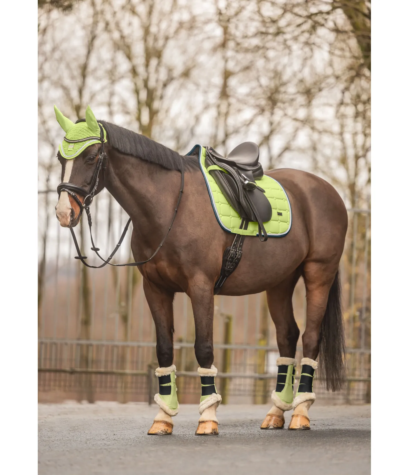 Felix Bühler Guêtres de dressage en polaire Teddy Essential (antérieurs) matcha