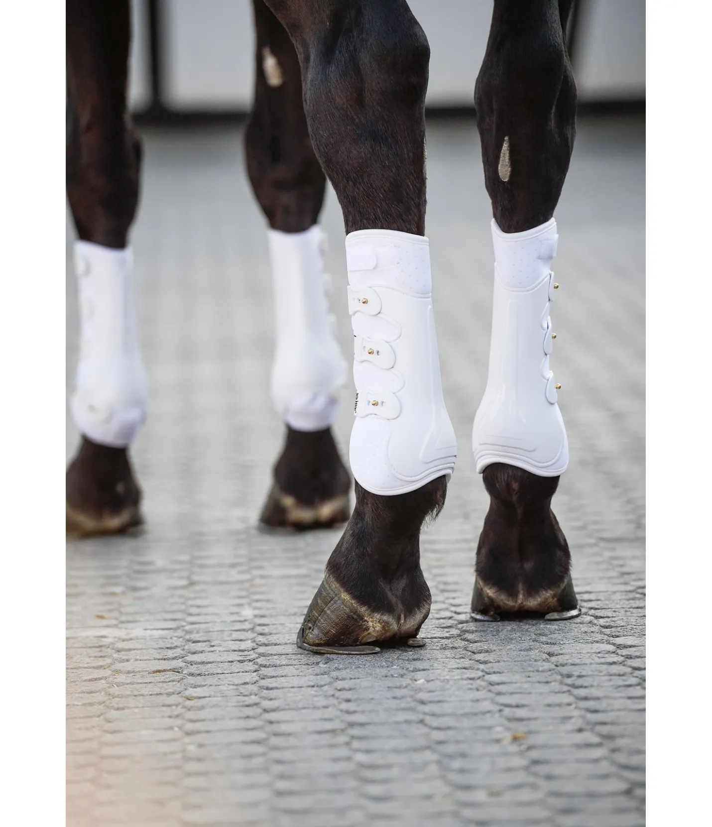 Felix Bühler Guêtres de dressage postérieures Perfect Protection blanc Sale