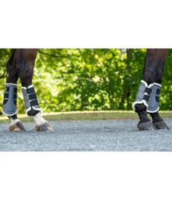 SHOWMASTER Guêtres de dressage postérieures en polaire Teddy graphite Best