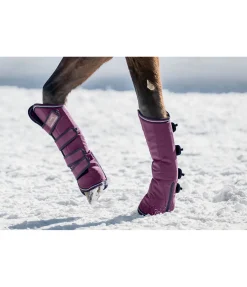 THERMO MASTER Guêtres de transport Kilian noir-violet Hot