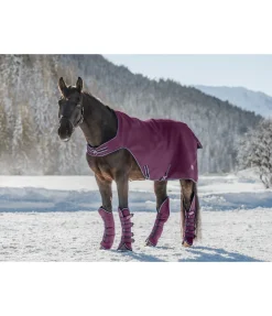 THERMO MASTER Guêtres de transport Kilian noir-violet Hot