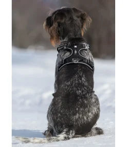 sugar dog Harnais pour chien Expedition noir