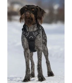 sugar dog Harnais pour chien Expedition noir