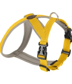 sugar dog Harnais pour chien Piper mangue dorée