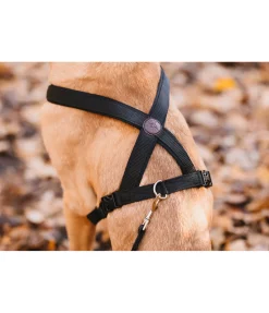 sugar dog Harnais pour chien Piper noir Sale