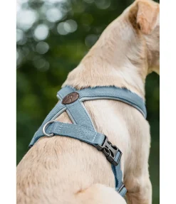 sugar dog Harnais pour chien Piper bleu dauphin Hot