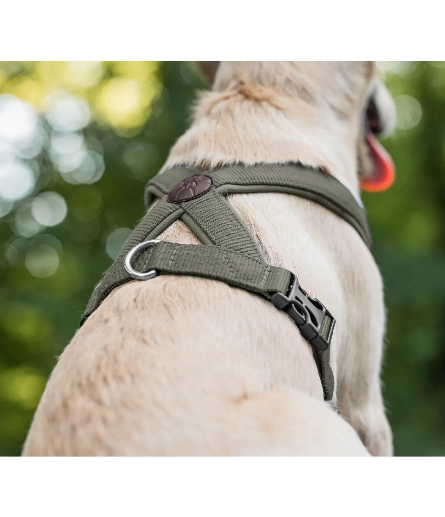 sugar dog Harnais pour chien Piper olive Hot