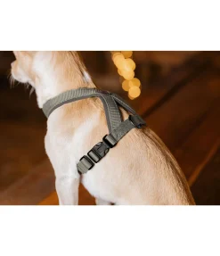 sugar dog Harnais pour chien Piper olive Hot
