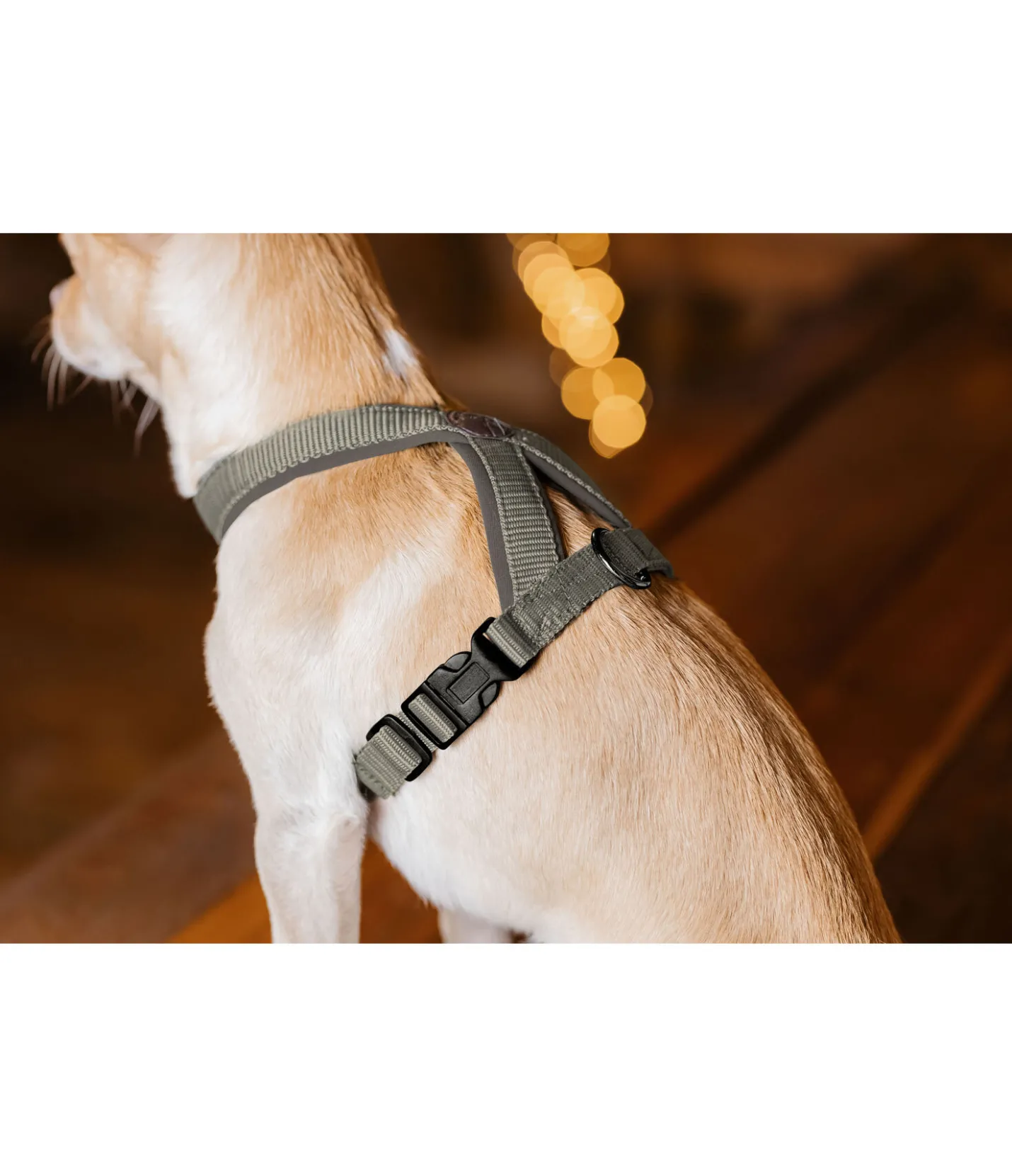 sugar dog Harnais pour chien Piper olive Hot