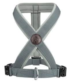 sugar dog Harnais pour chien Piper matcha foncé Online