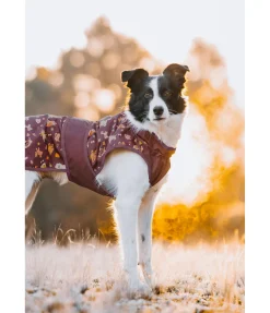 sugar dog Imperméable pour chien Pumpkin Spice, 0 g acajou Best