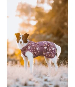 sugar dog Imperméable pour chien Pumpkin Spice, 0 g acajou Best