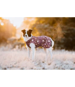 sugar dog Imperméable pour chien Pumpkin Spice, 0 g acajou Best