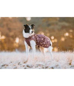 sugar dog Imperméable pour chien Pumpkin Spice, 0 g acajou Best