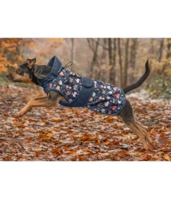 sugar dog Imperméable pour chien Pumpkin Spice, 0 g navy Best
