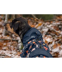 sugar dog Imperméable pour chien Pumpkin Spice, 0 g navy Best