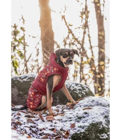 sugar dog Imperméable pour chien Pumpkin Spice, 0 g cabernet