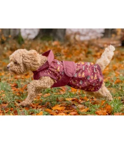sugar dog Imperméable pour chien Pumpkin Spice, 0 g cabernet