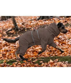 sugar dog Imperméable pour chien Sequoia II, 0 g noix Outlet