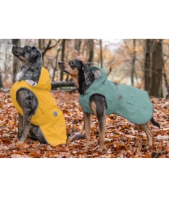 sugar dog Imperméable pour chien Waterton Lakes, 0 g melon jaune Best