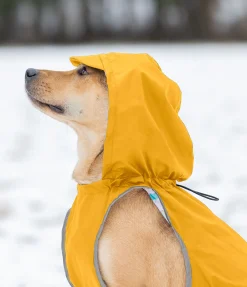 sugar dog Imperméable pour chien Waterton Lakes, 0 g melon jaune Best