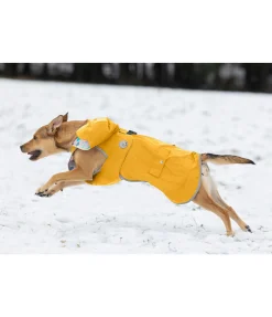 sugar dog Imperméable pour chien Waterton Lakes, 0 g melon jaune Best