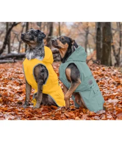 sugar dog Imperméable pour chien Waterton Lakes, 0 g melon jaune Best