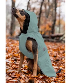 sugar dog Imperméable pour chien Waterton Lakes, 0 g matcha foncé Hot