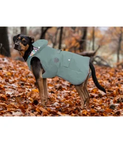 sugar dog Imperméable pour chien Waterton Lakes, 0 g matcha foncé Hot