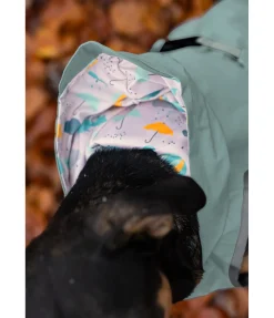 sugar dog Imperméable pour chien Waterton Lakes, 0 g matcha foncé Hot