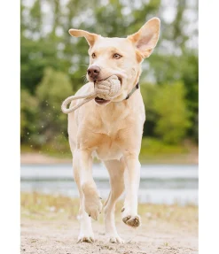 sugar dog Jouet corde pour chien Jack nature Discount