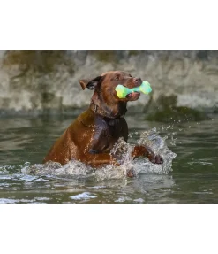 sugar dog Jouet d'eau pour chien Marble Bone Discount