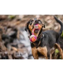 sugar dog Jouet en corde pour chien Sepp Hot
