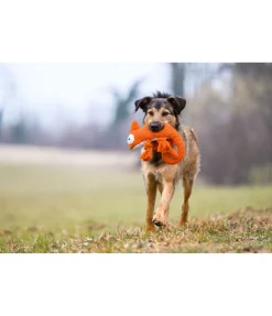 sugar dog Jouet pour chien Chameleon orange New