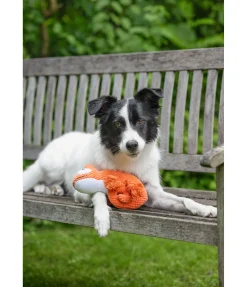 sugar dog Jouet pour chien Chameleon orange New