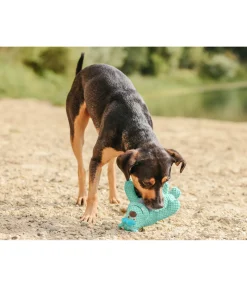 sugar dog Jouet pour chien Doudou Monstre Mike New