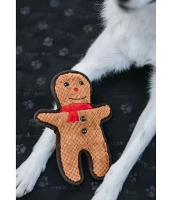 sugar dog Jouet pour chien Gingerman cannelle Best