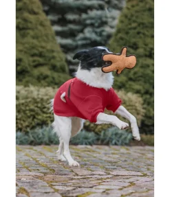 sugar dog Jouet pour chien Gingerman cannelle Best