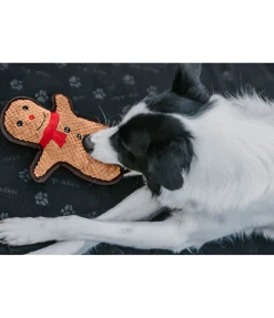 sugar dog Jouet pour chien Gingerman cannelle Best
