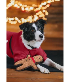 sugar dog Jouet pour chien Gingerman cannelle Best