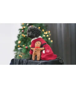 sugar dog Jouet pour chien Gingerman cannelle Best